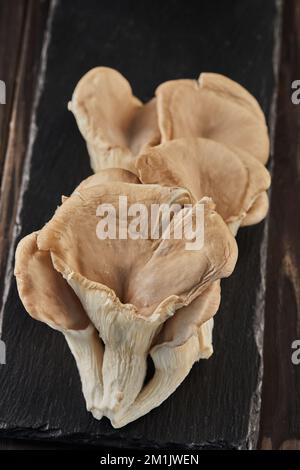 Waldpilze auf schwarzem Stein auf Holzhintergrund Stockfoto