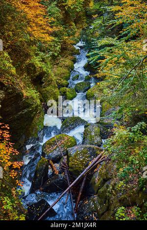 Der Fluss ragt durch eine enge Schlucht aus moosbedeckten Felsen und herabfallenden Blättern auf dem Boden Stockfoto