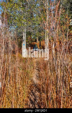 Kleiner Wanderweg durch hohe Gräser mit Wanderern, die mit einem blauen Wegweiser in Michigan in Wälder wandern Stockfoto