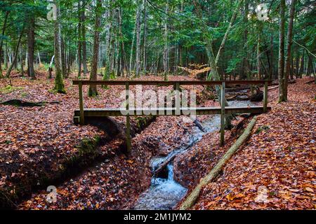 Im späten Herbst überquert die Holzbrücke den kleinen Bach im Waldpark mit orangefarbenen Blättern Stockfoto