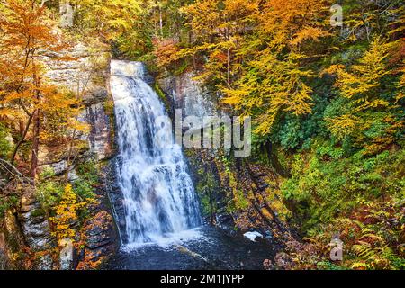 Herbstlaub umgibt und bedeckt Klippen rund um den tosenden Wasserfall in den Fluss mit Blick auf die Holzstege darüber Stockfoto