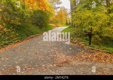 Ein Pfad im Lake Roland Park in Baltimore, Maryland an einem kalten Herbsttag, den USA Stockfoto