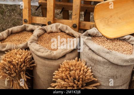 Verschiedene Körner in Bulk Sacks Farm Produce Stockfoto