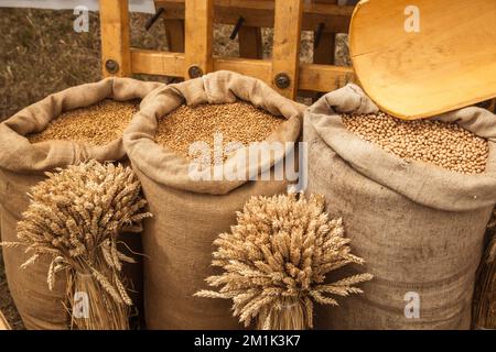 Verschiedene Körner in Bulk Sacks Farm Produce Stockfoto