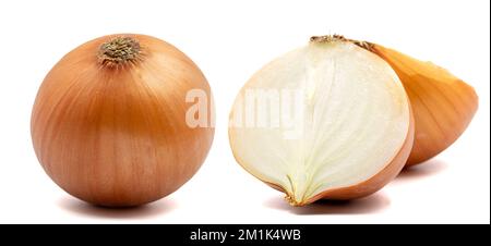 Ein Satz Zwiebelbilder. Zwiebelknollen isoliert. Ganze goldene Zwiebelknolle und eine Hälfte auf weißem Hintergrund. Volle Schärfentiefe. Mit Beschneidungspfad Stockfoto