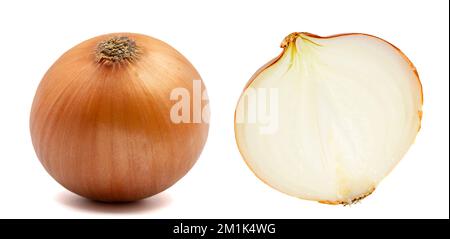 Ein Satz Zwiebelbilder. Zwiebelknollen isoliert. Ganze goldene Zwiebelknolle und eine Hälfte auf weißem Hintergrund. Volle Schärfentiefe. Mit Beschneidungspfad Stockfoto