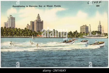 Aquaplaning in Biscayne Bay in Miami, Florida, Tichnor Brothers Collection, Postkarten der Vereinigten Staaten Stockfoto