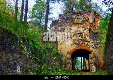 Eingangsturm der mittelalterlichen Burg Gryf in Proszowka, Polen Stockfoto