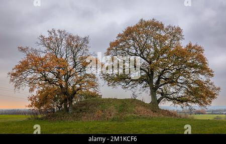 Ende des Herbstes auf dem Round Barrow Grab Appledore Kent Südostengland Stockfoto