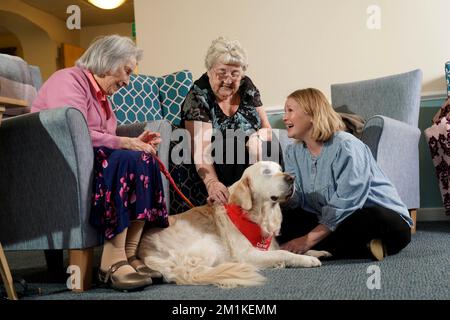 NUR REDAKTIONELLE VERWENDUNG (von links nach rechts) der Bewohner Tess Williams und Ann Hendra mit Joanna Page und Arthur bei einem Besuch im Grove Care Home in Ystradgynlais, Wales. Ausgabedatum: Dienstag, 13. Dezember 2022. Stockfoto