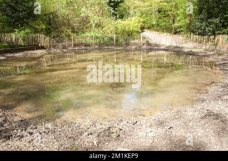 Dieser Teich war früher ein Swimmingpool, wurde jetzt aber in seinen natürlichen Zustand zurückversetzt. Es ist zu hoffen, dass Frösche und Kröten zurückkehren werden. Stockfoto