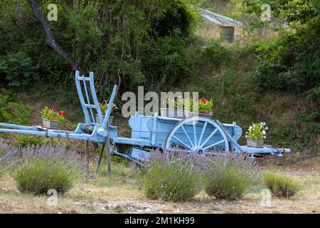 Blauer Holzwagen mit Lavendeln in der Provence, Frankreich Stockfoto