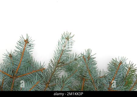 Weihnachtsbaum Äste Grenze über weiß Stockfoto