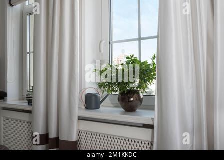 Vorhänge im Inneren, Vorhänge im Wohnzimmer Stockfoto