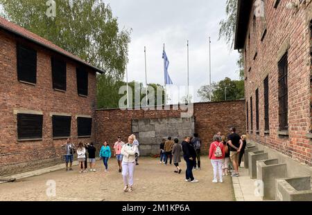 Viele Touristen im Konzentrationslager Auschwitz in Polen während des Tages Stockfoto