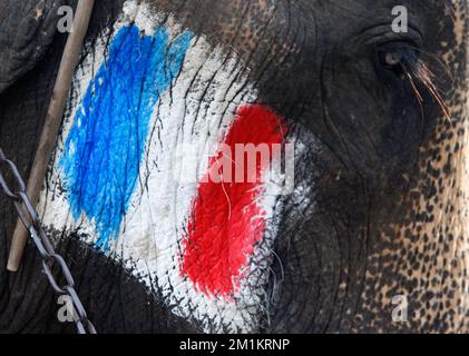 Ayutthaya, Thailand. 13.. Dezember 2022. Ein thailändischer Mahout malt Frankreichs Nationalflagge auf einem Elefanten vor einem Fußballspiel mit thailändischen Studenten (nicht abgebildet) an der Ayutthaya Wittayalai School in Thailands Provinz Ayutthaya, nördlich von Bangkok. Das Spiel wurde im Rahmen einer Kampagne durchgeführt, um die Weltmeisterschaft 2022 zu bewerben und während des Wettbewerbs vom Glücksspiel abzuhalten. Kredit: SOPA Images Limited/Alamy Live News Stockfoto