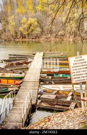 Marely, malerisches Dorf an der Tisza, Ungarn Stockfoto