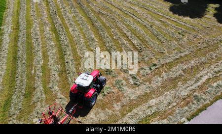 Luftaufnahme eines Traktors, der mit einem Drehrechen montiert ist, der sich durch ein Heugrasfeld bewegt Stockfoto