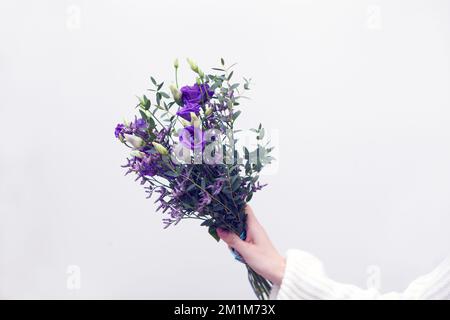Kleiner violetter Strauß. In menschlicher Hand halten. Weißer Hintergrund für Text. Geschenk zum Frauentag. Stockfoto