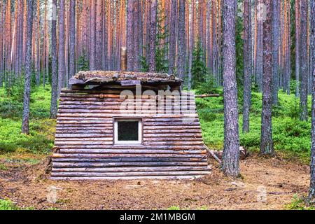 Blockhütte in einem Nadelwald Stockfoto