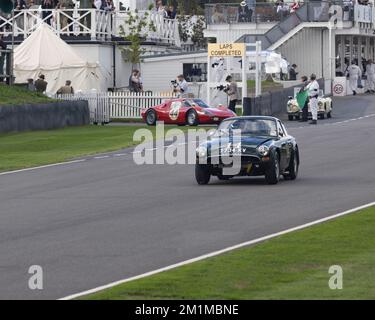 Ein Sunbeam Lister Tiger aus dem Jahr 1964 passiert die Gruben beim Goodwood Revival aus dem Jahr 2022 Stockfoto