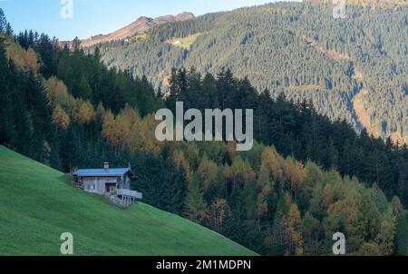 Rustikale Holzhütte auf einem steilen Hang einer Bergwiese in den österreichischen Alpen mit sonnenbeleuchtetem Berggipfel im Hintergrund an einem sonnigen Herbsttag. Stockfoto