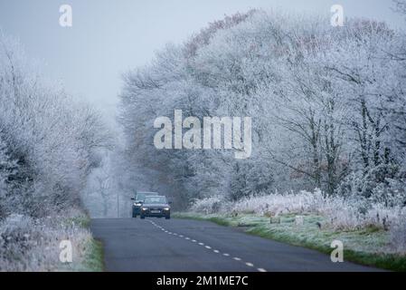 Harrogate, North Yorkshire, Großbritannien. 13.. Dezember 2022. Frostbäume in der Nähe von Harrogate, North Yorkshire. Kredit: John Eveson/Alamy Live News Stockfoto