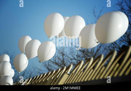 20120315 - LOMMEL, BELGIEN: Auf dem Bild sind weiße Ballons vor der Grundschule (Basisschool - ecole Primaire) 't Stekske, in Lommel, Donnerstag, den 15. März 2012, zu sehen. Bei einem schrecklichen Busunfall am Dienstagabend in einem Tunnel, in Sierre, Valais, Schweiz, 28 Menschen, Darunter 22 Kinder, starben, 24 andere wurden verletzt. Die Kinder aus zwei Schulen von Lommel und Heverlee waren nach dem Skiurlaub auf dem Heimweg. BELGA FOTO YORICK JANSENS Stockfoto