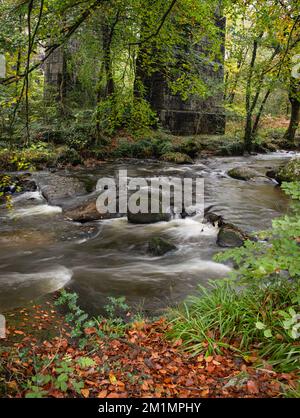 Fluss Par (Dowr Gwernan) durch das Luxulyanische Tal (Glyn Gwernan) Stockfoto