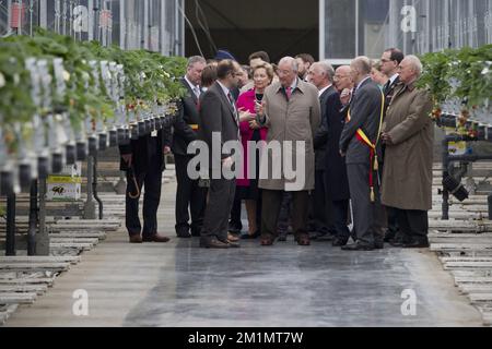 20120515 - BEVEREN, BELGIEN: Königin Paola von Belgien, König Albert II. Von Belgien und Gouverneur der Provinz Ostflandern Andre Denys, das bei einem Besuch von König Albert II. Von Belgien und Königin Paola von Belgien in Aardbeicomite (Comite de la Fraise) in Melsele, Belgien anlässlich des 50.. Jahrestags, Dienstag, den 15. Mai 2012, zu sehen war. BELGA FOTO KRISTOF VAN ACCOM Stockfoto