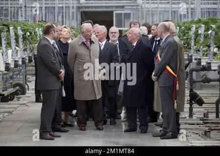 20120515 - BEVEREN, BELGIEN: Bürgermeister von Beveren Marc Van De Vijver (2. l), Königin Paola von Belgien, König Albert II von Belgien, Privatsekretär des Königs von Belgien, Jacques van Ypersele de Strihou, und Gouverneur der Provinz Ostflandern, Andre Denys, gemalt bei einem Besuch von König Albert II. Von Belgien und Königin Paola von Belgien in Aardbeicomite (Comite de la Fraise) in Melsele, Belgien anlässlich des 50.-jährigen Bestehens am Dienstag, den 15. Mai 2012. BELGA FOTO KRISTOF VAN ACCOM Stockfoto