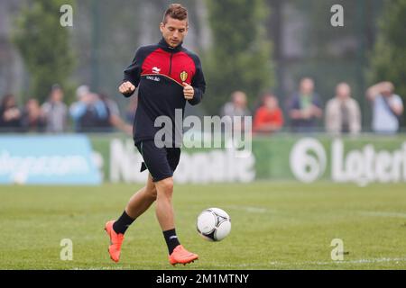 20120530 Uhr - ANGLEUR, BELGIEN: Belgiens Dries Mertens, abgebildet in einem Training der Red Devils, der belgischen Fußballnationalmannschaft, am Mittwoch, den 30. Mai 2012 in Angleur. Das Team bereitet sich auf ein Freundschaftsspiel gegen England am nächsten Samstag vor. BELGA FOTO BRUNO FAHY Stockfoto