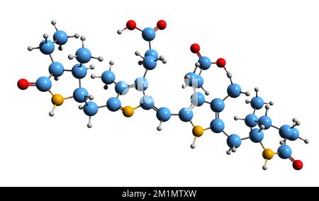 3D-Bild der Stercobilin-Skelettformel - molekularchemische Struktur des auf weißem Hintergrund isolierten tetrapyrroischen Gallenpigments Stockfoto