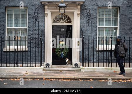 London, Großbritannien. 13.. Dezember 2022. Larry, Chief Mouser an Downing Street sitzt vor der Tür von Nr. 10. Claire Doherty/Alamy Live News Stockfoto