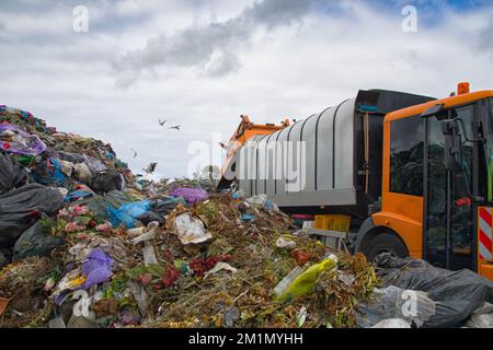 Deponie verschmutzt die Umwelt. Müllwagen. Vögel fliegen über Deponien Stockfoto