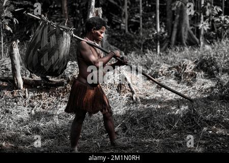 Der Korowai-Stamm fängt Fische mit Fallen, indem er Körbe aus Sagoblättern mit Gras und Holztermiten verwendet. Der Korb wird dann "imm" sein Stockfoto