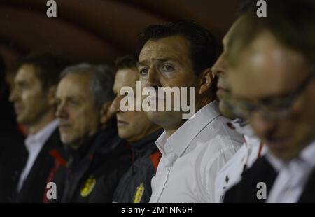 20121012 – BELGRAD, SERBIEN: Belgischer Cheftrainer Marc Wilmots, abgebildet zu Beginn des Qualifikationsspiels zwischen Serbien und den belgischen Red Devils, Freitag, den 12. Oktober 2012 in Belgrad, Republik Serbien. Dies ist das dritte von zehn Qualifikationsspielen für die Fußball-Weltmeisterschaft 2014. BELGA FOTO DIRK WAEM Stockfoto