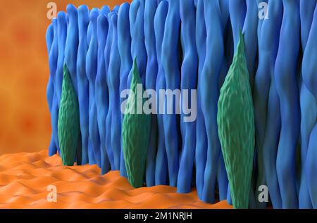 Netzhautkonus und -Stab im menschlichen Auge - Nahaufnahme 3D-Abbildung Stockfoto