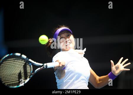 20130116 – MELBOURNE, AUSTRALIEN: Na Li in Aktion während des Spiels zwischen dem chinesischen Na Li und dem weißrussischen Olga Govortsova in der zweiten Runde des Frauen-Singles-Turniers bei den „Australian Open“ Grand Slam, Mittwoch, 16. Januar 2013 im Melbourne Park, Australien. BELGA FOTO PATRICK HAMILTON Stockfoto