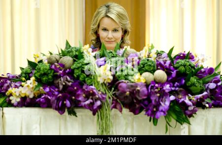 20130319 - BANGKOK, THAILAND: Prinzessin Mathilde von Belgien besucht das kommunale Gesundheitssystem im Unterbezirk Baan Song in der Provinz Chachergsao neben Bangkok, Thailand, Dienstag, 19. März 2013, am dritten Tag einer Wirtschaftsmission des belgischen Kronprinzen nach Thailand. BELGA FOTO BENOIT DOPPPAGNE Stockfoto