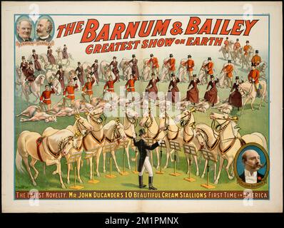 Die größte Show der Welt in Barnum & Bailey : die neueste Neuheit. Mr. John Ducanders 10. Schöner Creme-Hengst ist das erste Mal in Amerika. , Zirkusse & Shows, Zirkusdarsteller, Zirkustiere, Pferde, Barnum und Bailey. Richard Dale McMullan Kollektion Stockfoto