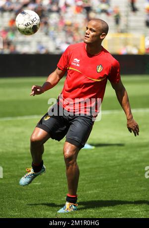 Vincent Kompany aus Belgien wurde am Fantag der Fußballnationalmannschaft Red Devils Belgium am Sonntag, den 02. Juni 2013 im Koning-Boudewijn-Stadion – Stade ROI Baudouin in Brüssel fotografiert. BELGA PHOTO VIRGINIE LEFOUR Stockfoto