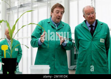 VIB Direktor des Departements Biologische systeme der Pflanzen Dirk Inze und König Albert II von Belgien, Bild bei einem Besuch des Vlaams Instituut voor Biotechnologie (VIB) (Flämisches Institut für Biotechnologie) in Zwijnaarde im Technologiepark am Mittwoch, den 12. Juni 2013. Stockfoto