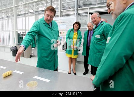 L-R, VIB Direktor des Departements Biologische systeme der Pflanzen Dirk Inze, Flämischer Minister für Medien, Forschung und Innovation, Armut und die Flämische Energiegesellschaft Ingrid Lieten und König Albert II von Belgien und Direktor des wolfson-Instituts für biomedizinische Forschung an der Londoner Universitätshochschule; Professor Slavador Moncada (Ehemann von Prinzessin Marie-Esmeralda, Halbschwester von König Albert II.), das bei einem Besuch des "Vlaams Instituut voor Biotechnologie (VIB)" (Flämisches Institut für Biotechnologie) in Zwijnaarde im Technologiepark am Mittwoch, den 12. Juni 2013, zu sehen ist. Stockfoto