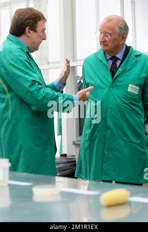 VIB Direktor des Departements Biologische systeme der Pflanzen Dirk Inze und König Albert II von Belgien, Bild bei einem Besuch des Vlaams Instituut voor Biotechnologie (VIB) (Flämisches Institut für Biotechnologie) in Zwijnaarde im Technologiepark am Mittwoch, den 12. Juni 2013. Stockfoto