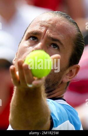 Der belgische Xavier Malisse in Aktion während des Spiels zwischen David Ferrer aus Spanien und Xavier Malisse aus Belgien während des Topshelf Open WTA/ATP-Tennisturniers in Rosmalen, Niederlande, Dienstag, 18. Juni 2013. Stockfoto