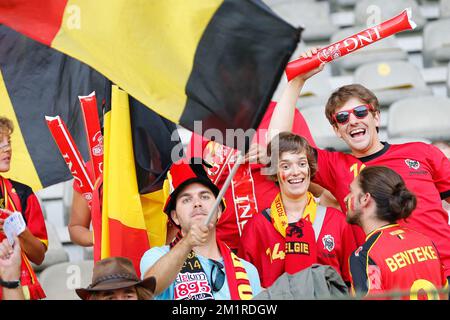 Belgische Fans wurden vor einem Freundschaftsspiel der belgischen Nationalmannschaft Red Devils gegen die französische Nationalmannschaft am Mittwoch, den 14. August 2013 im King-Baudouin-Stadion (Stade ROI Baudouin/Koning Boudewijnstadion) in Brüssel fotografiert. Stockfoto