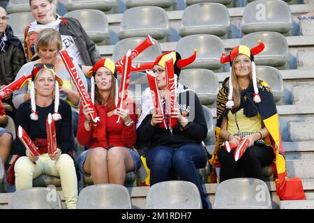 Belgische Fans wurden vor einem Freundschaftsspiel der belgischen Nationalmannschaft Red Devils gegen die französische Nationalmannschaft am Mittwoch, den 14. August 2013 im King-Baudouin-Stadion (Stade ROI Baudouin/Koning Boudewijnstadion) in Brüssel fotografiert. Stockfoto