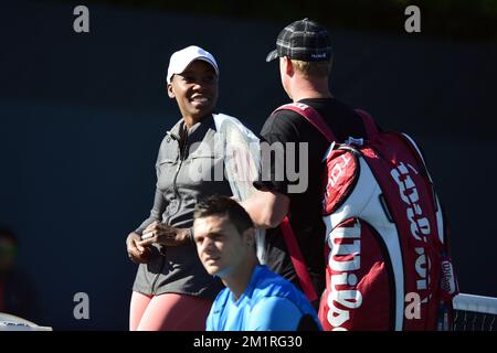 American Venus Williams wurde vor einem Training im Vorfeld des US Open Grand Slam-Tennisturniers in Flushing Meadows, New York City, USA, am Samstag, den 24. August 2013, fotografiert. Die US Open beginnen am 26. August 2013. BELGA FOTO YORICK JANSENS Stockfoto