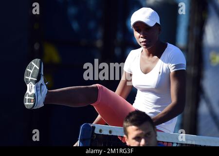 American Venus Williams wurde vor einem Training im Vorfeld des US Open Grand Slam-Tennisturniers in Flushing Meadows, New York City, USA, am Samstag, den 24. August 2013, fotografiert. Die US Open beginnen am 26. August 2013. BELGA FOTO YORICK JANSENS Stockfoto